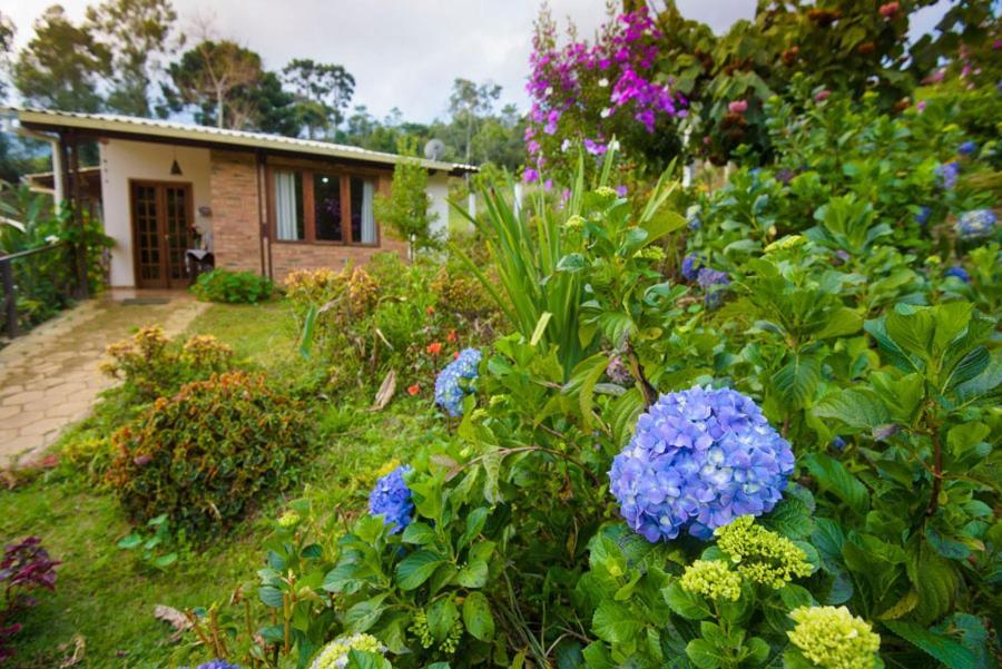 Casa Do Lago Caparao Pedra Menina Экстерьер фото